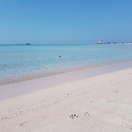 Posidonia 호텔 포르토 세자레오