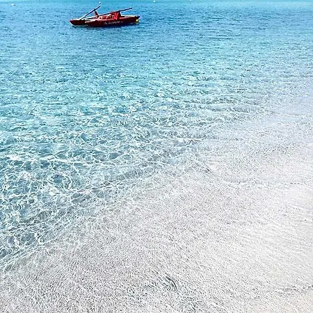 Posidonia